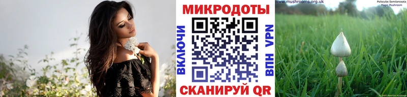 Галлюциногенные грибы GOLDEN TEACHER  Баймак 